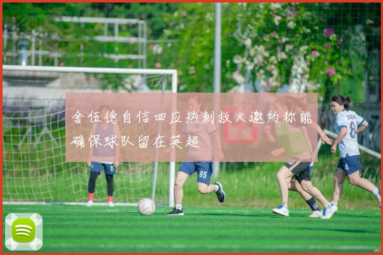 舍伍德自信回应热刺救火邀约称能确保球队留在英超